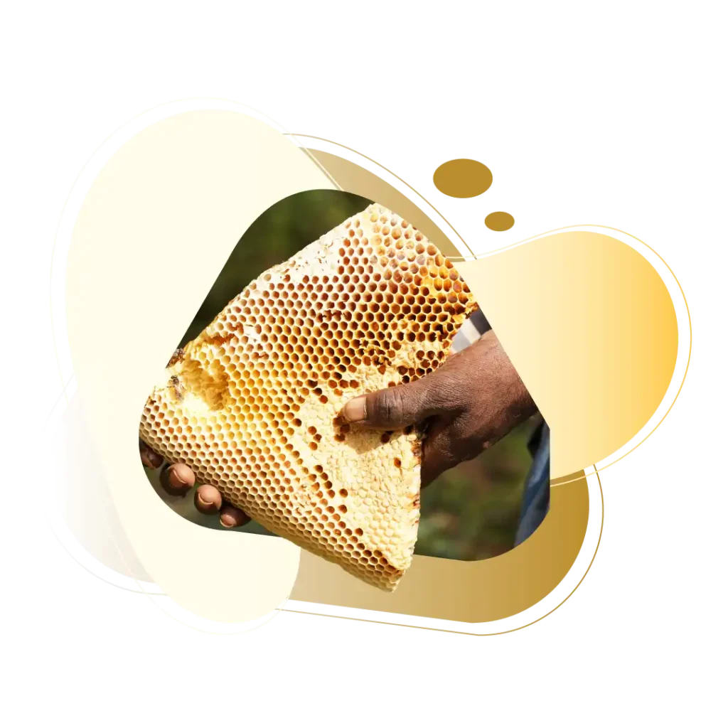 karung kurinji honey comb