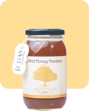 Sidr honey