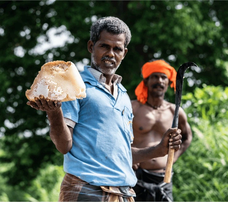 honey hunters of ghats honey