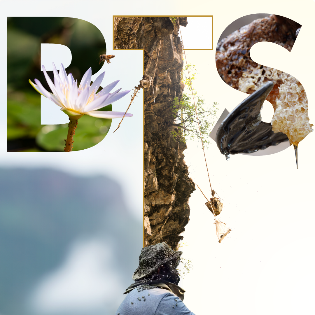 Behind the scences of ghats raw honey