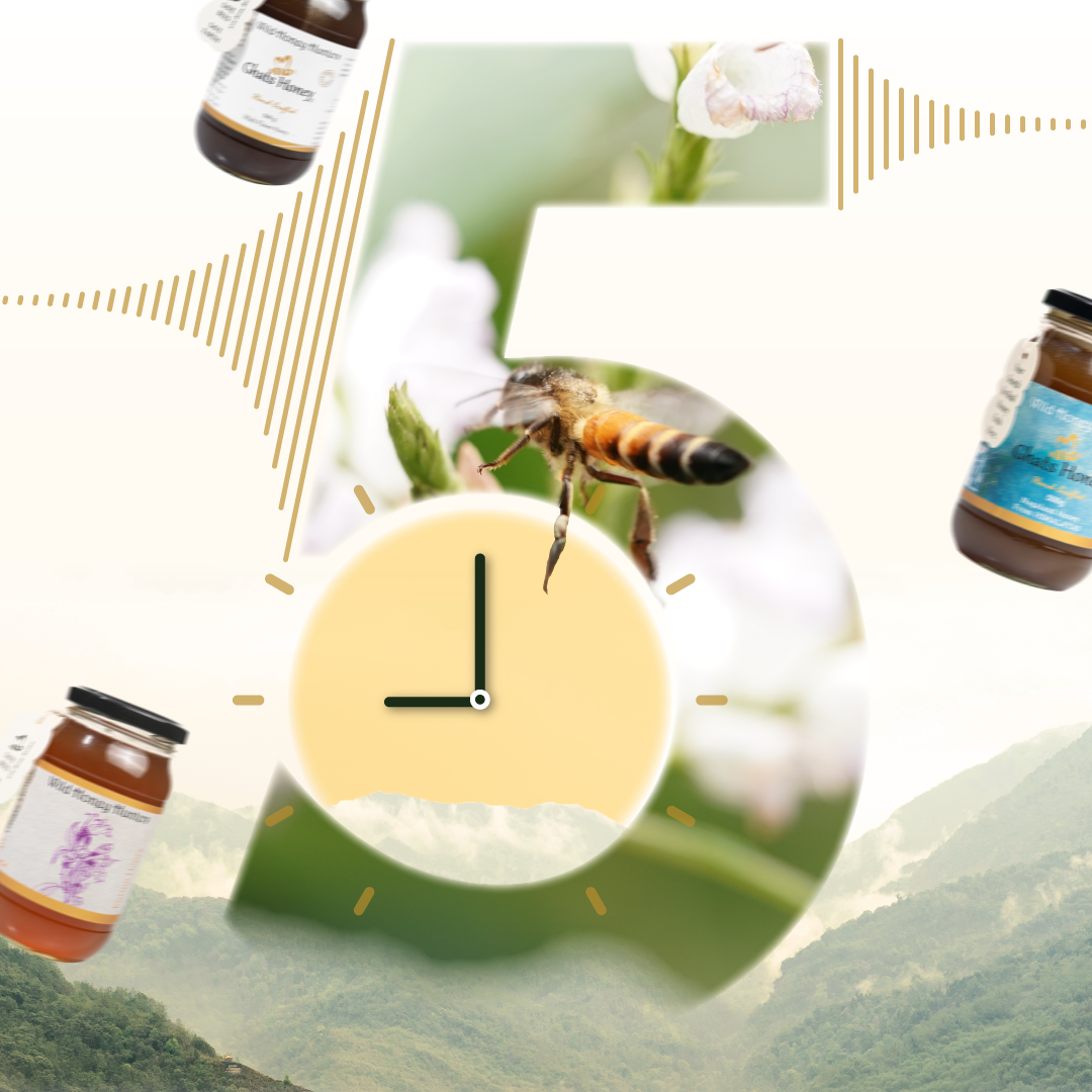ghats raw honey- 5 reasons to switch to ghats honey