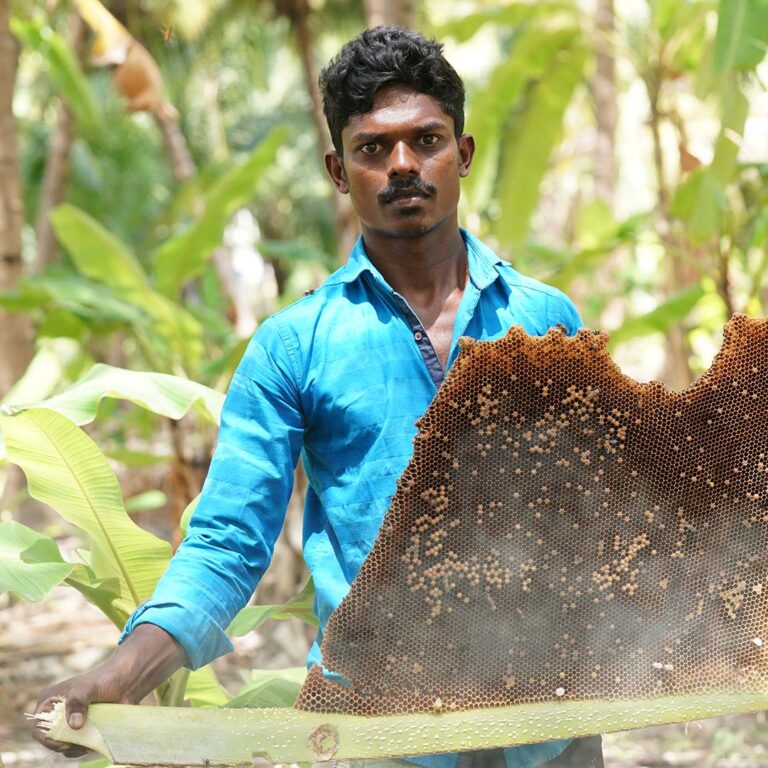 Natural forest honey unprocessed and chemical free