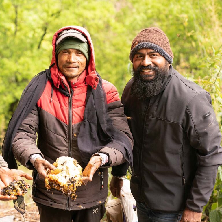 Natural honeycomb filled with raw forest honey