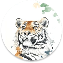 buy region honey verieties at wild honey hunters