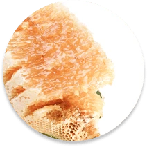 Signature rare honey varieties from forest regions