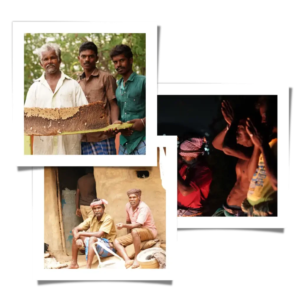 Experienced honey hunters harvesting wild honey 