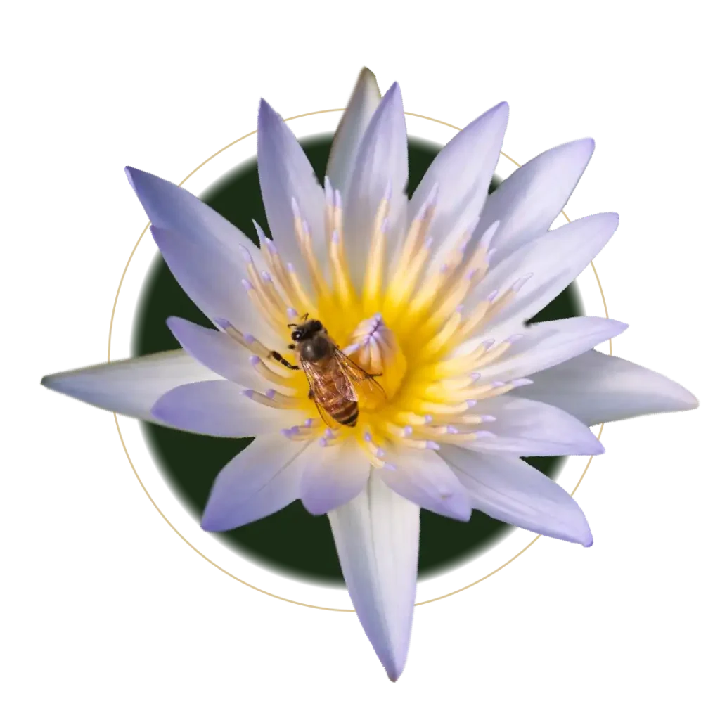 bees collecting nectar from the flowers