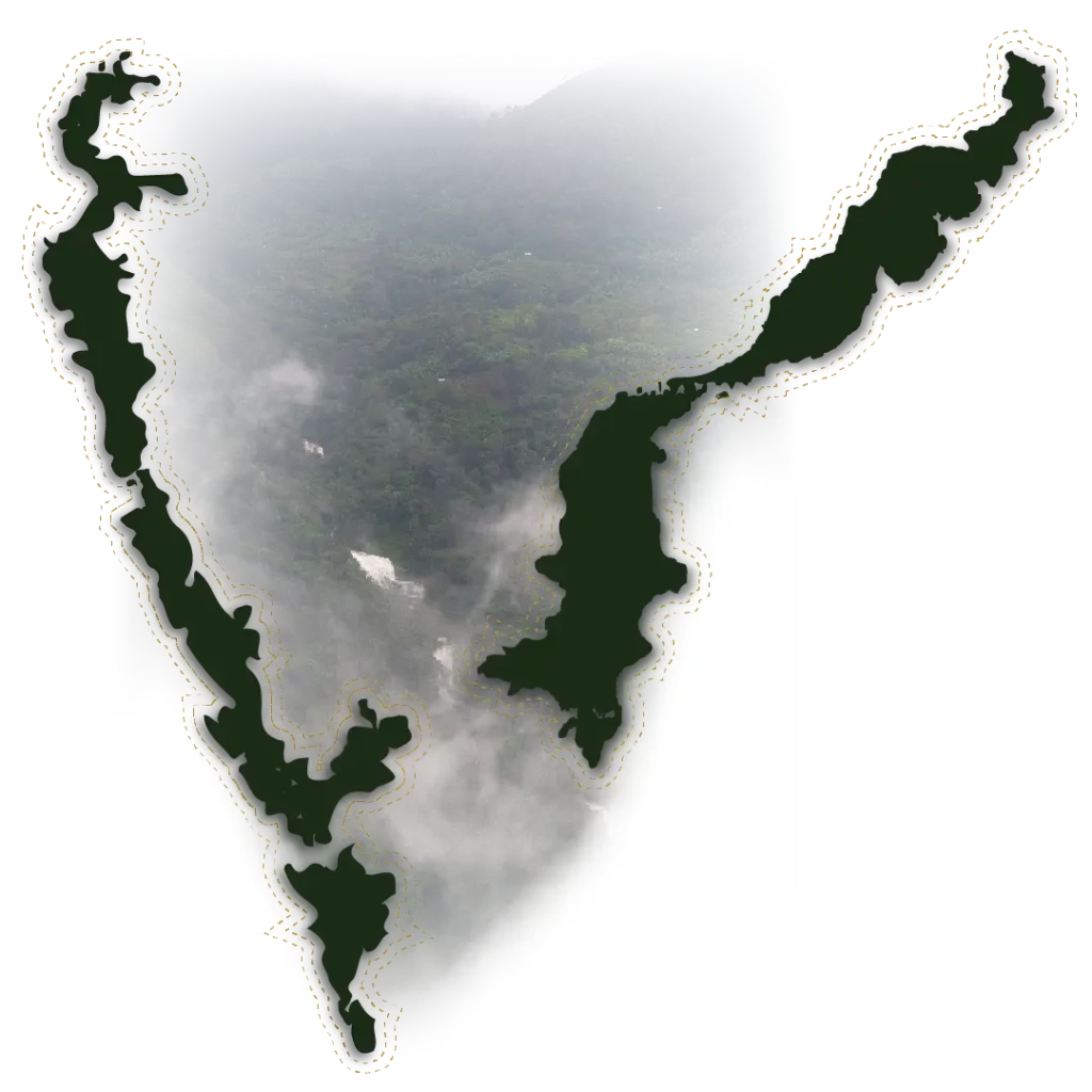 Map showing regions where wild honey is harvested