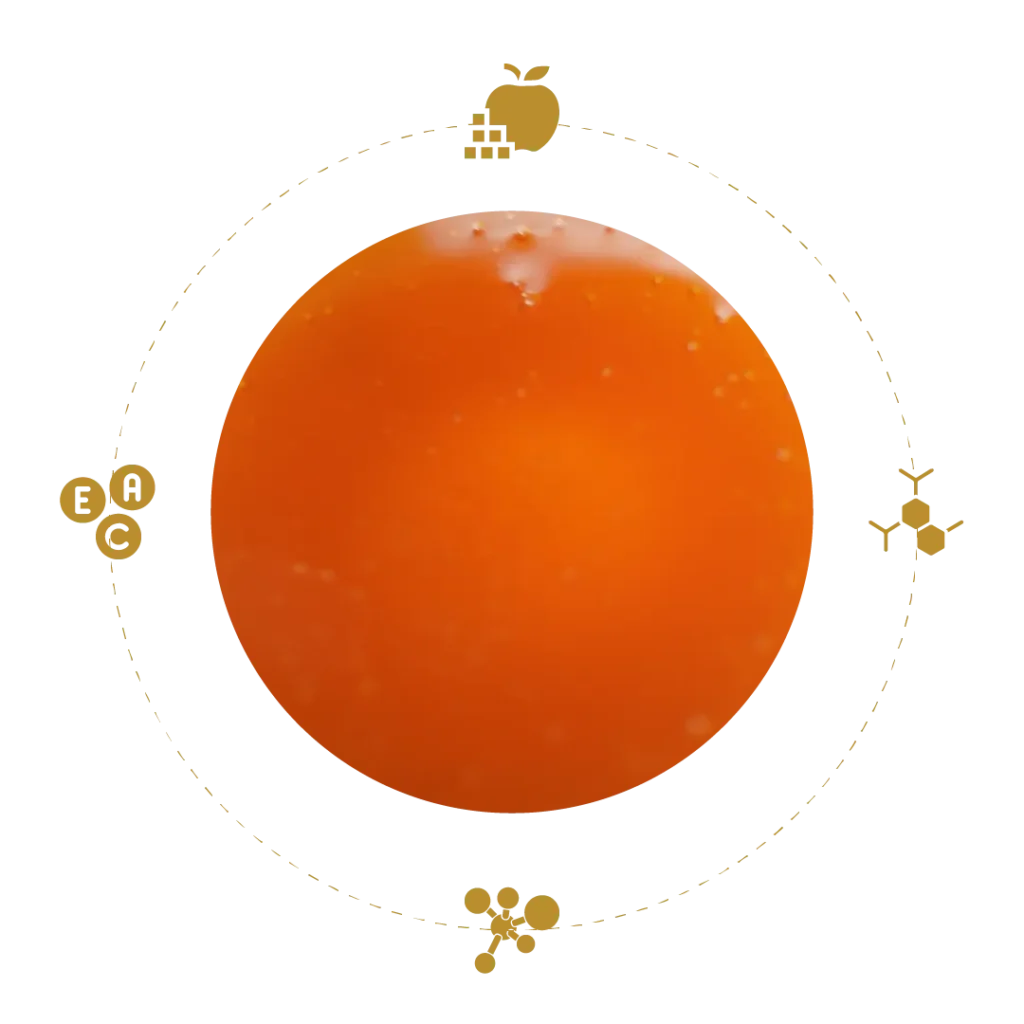 Properties of Pure Forest Honey natural honey benefits including antioxidants and enzymes