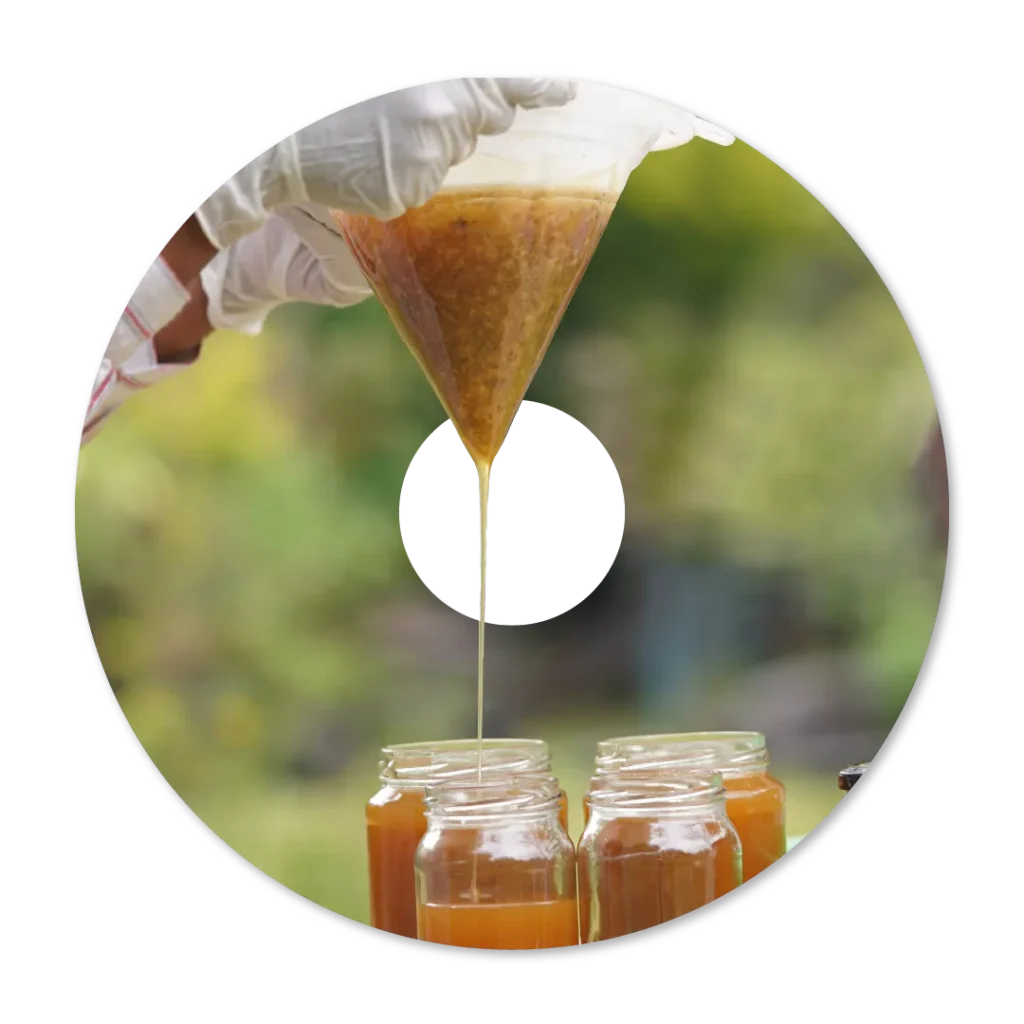 processing wild honey naturally using traditional methods
