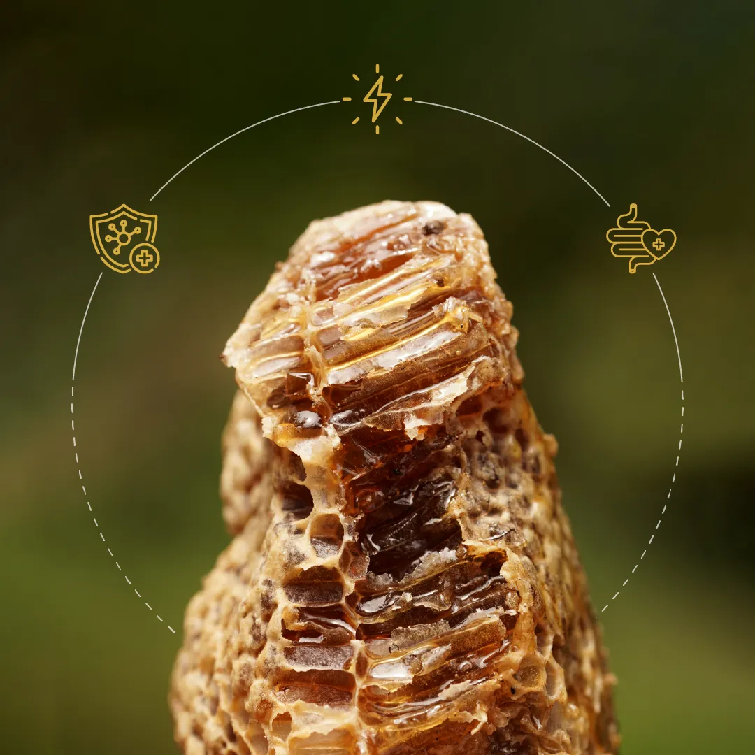 raw, unprocessed, fresh wild forest honeycomb