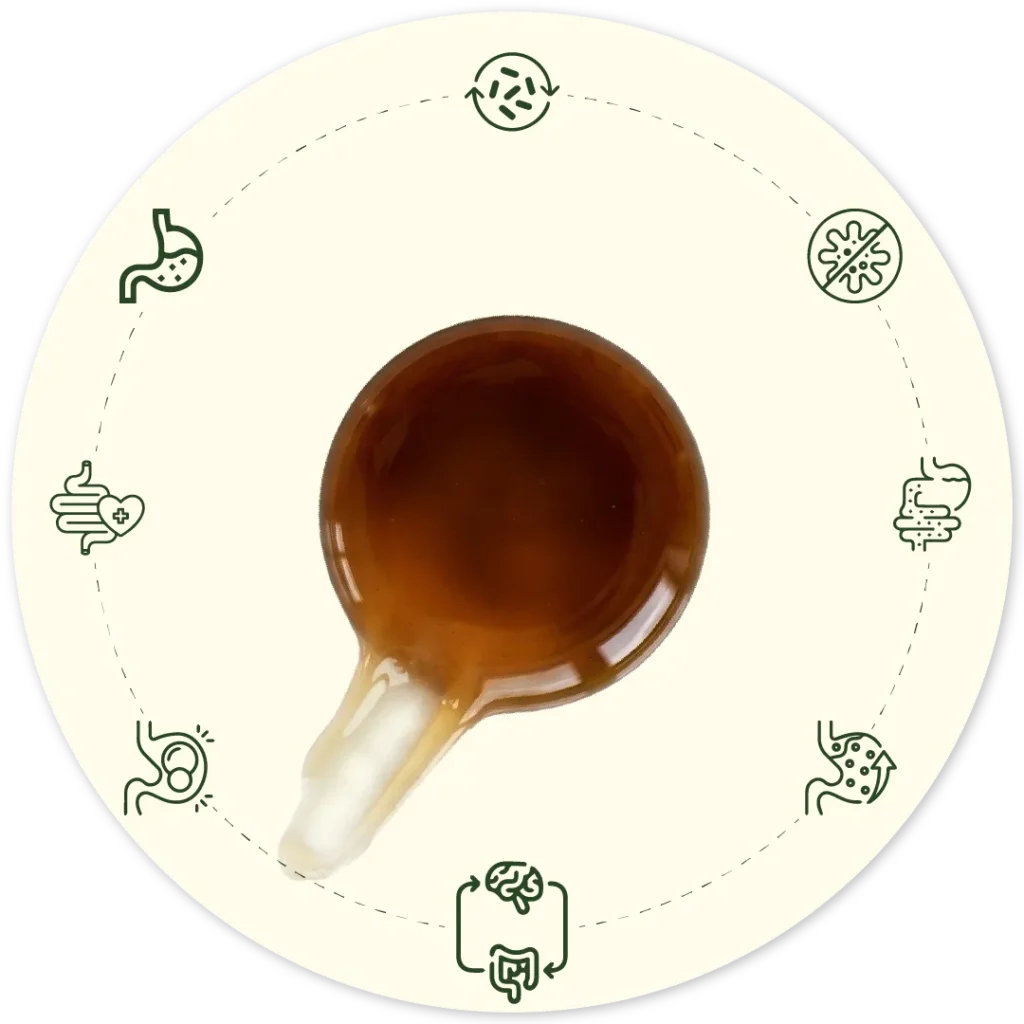 honey benefits for gut health