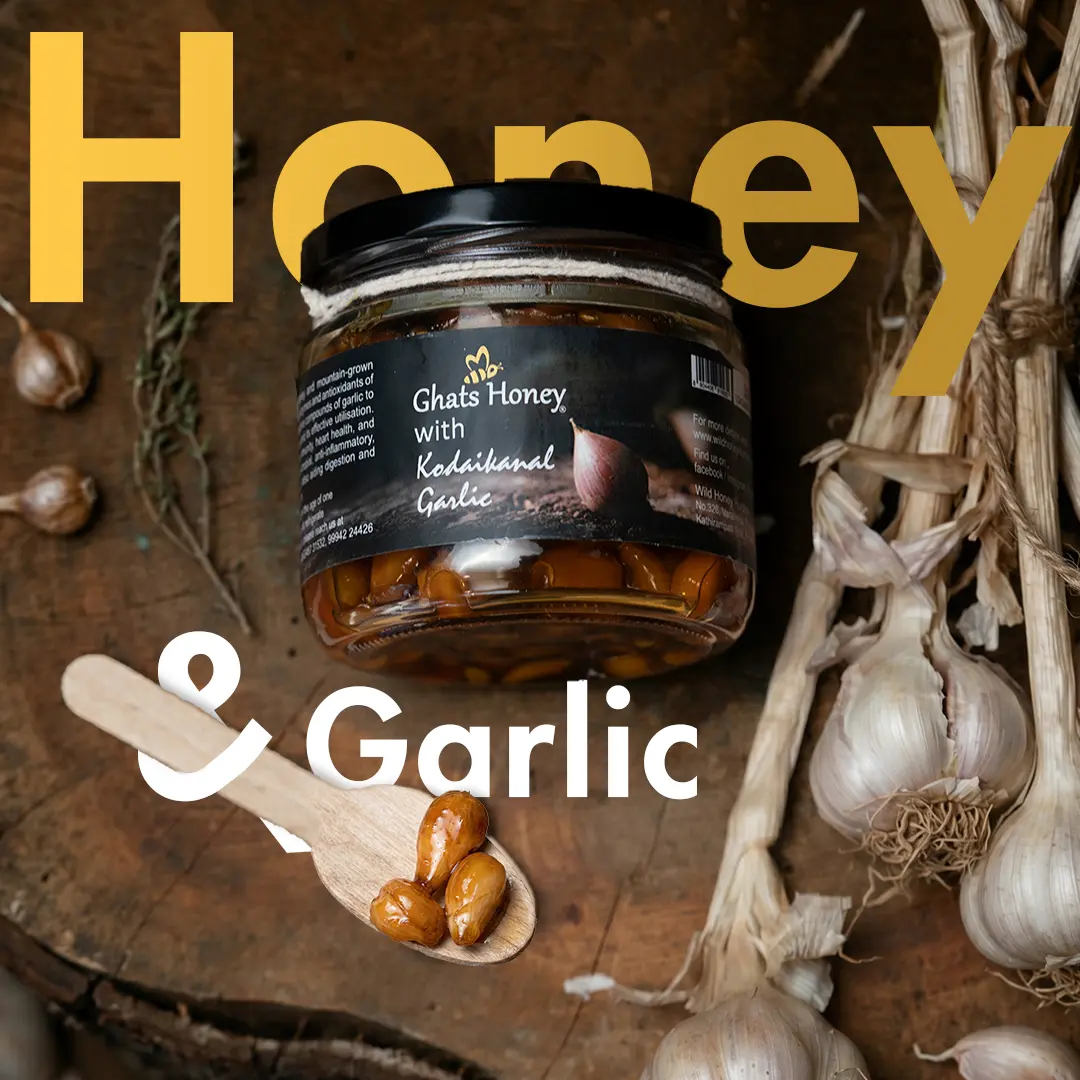garlic soacked in honey bottle with garlic gloves in natural backround