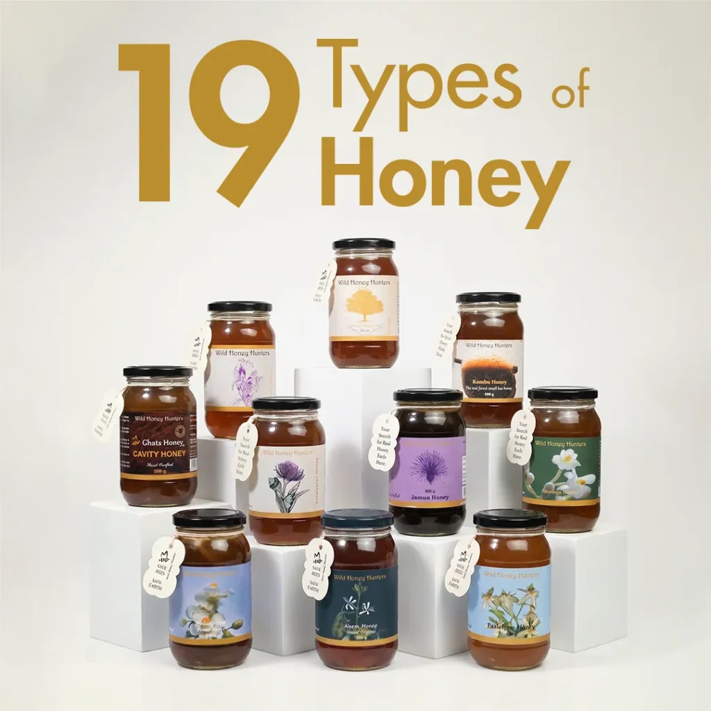 Collection of 19 different honey varieties displayed in glass jars on white tables with the title "19 Types of Honey" showcasing the variety of forest honey.