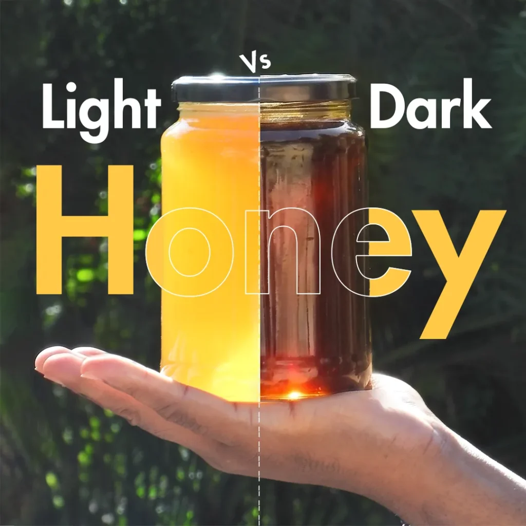 Split image comparing light and dark honey in a glass jar held on a hand, with the text “Light vs Dark Honey” over a blurred natural background.