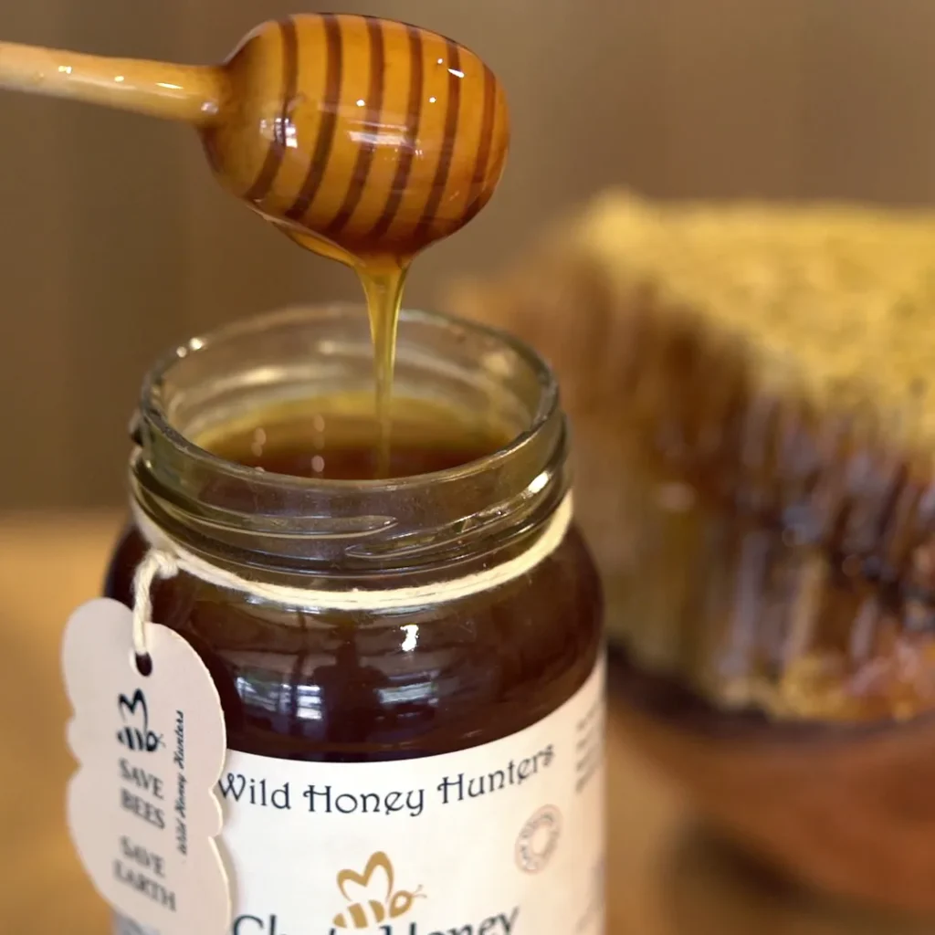Honey dripping from a wooden honey dipper into a glass jar of Wild Honey Hunters raw forest honey with a honeycomb blurred in the background.