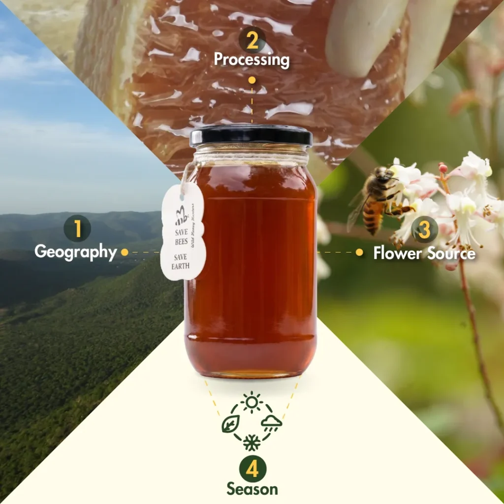 Infographic showing a honey jar surrounded by four factors that influence honey characteristics: geography, processing method, floral source, and season.